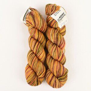Koigu KPPPM Yarn 2 Skeins Hand-Painted Merino Wool P33720
